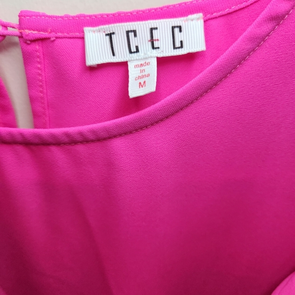 TCEC Pink Ruffle Dress - Picture 8 of 10